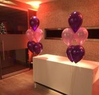 tros ballonnen 5st parelmoer